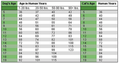 table showing ages vs weight for cats and dogs