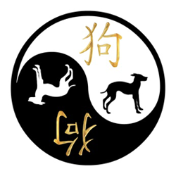 yin and yang symbol for pets